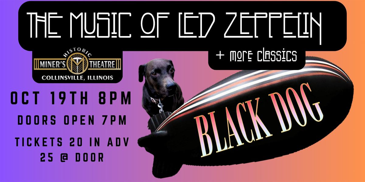 Black Dog the Music of Led Zeppelin plus rock classics.