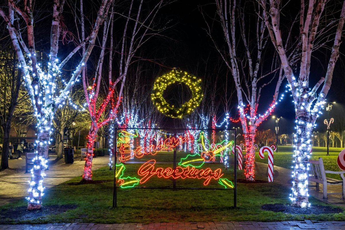 Beaverton Winter Lights