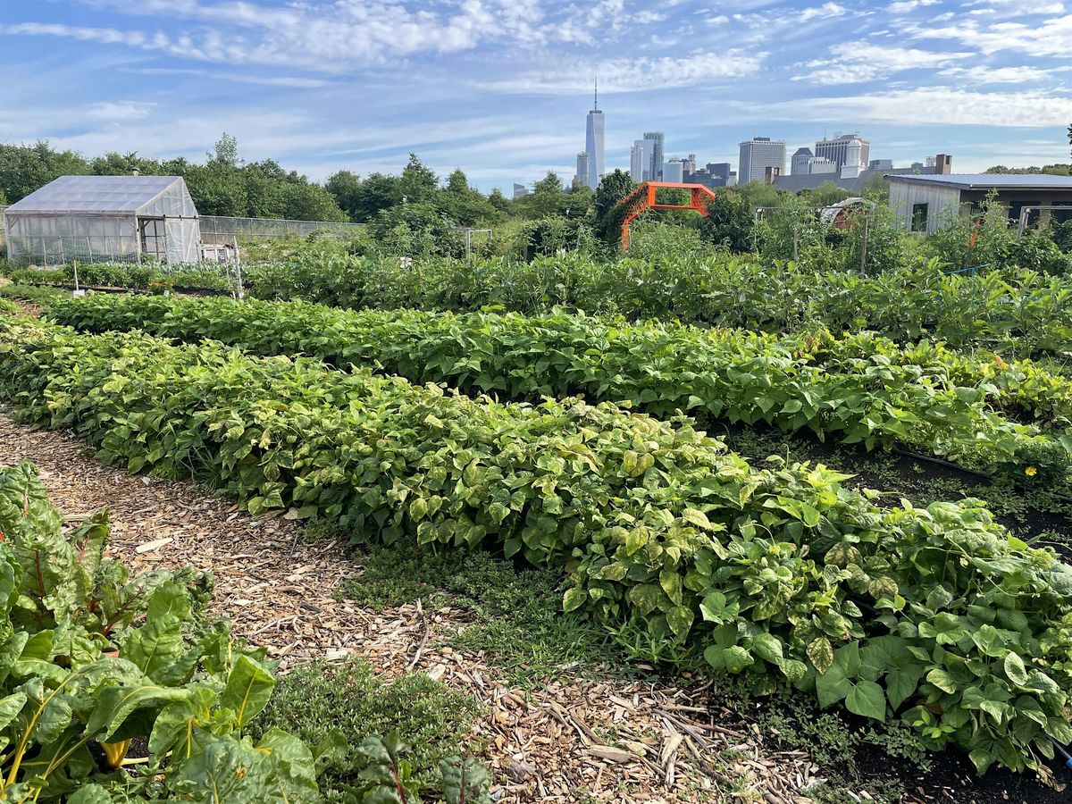 Teacher Professional Development: Cooking and 5 senses in the garden