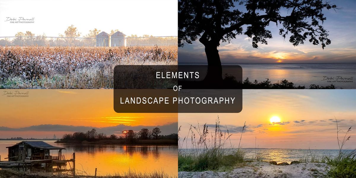 PHOTOGRAPHY CLASS: ELEMENTS OF LANDSCAPE PHOTOGRAPHY | 4 Sessions