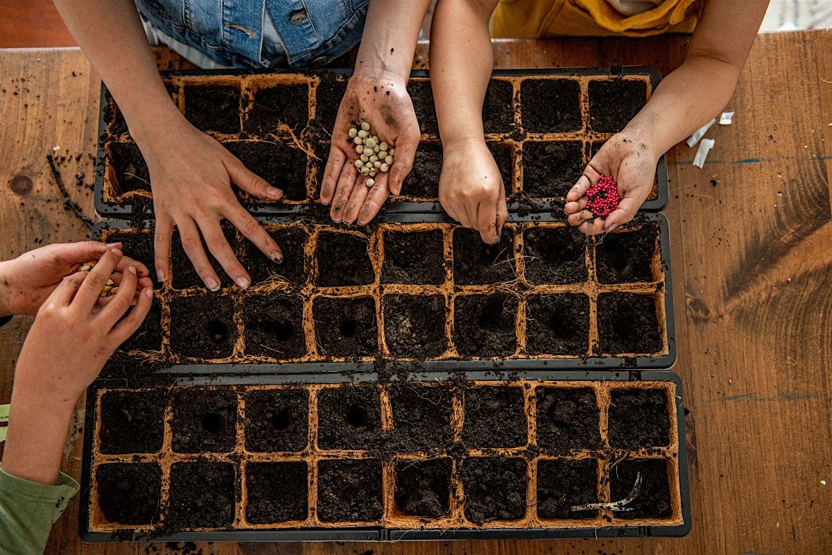 Seed Saving Family Workshop