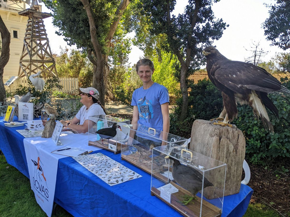 Birds of the Bay at Rengstorff House (family-friendly)