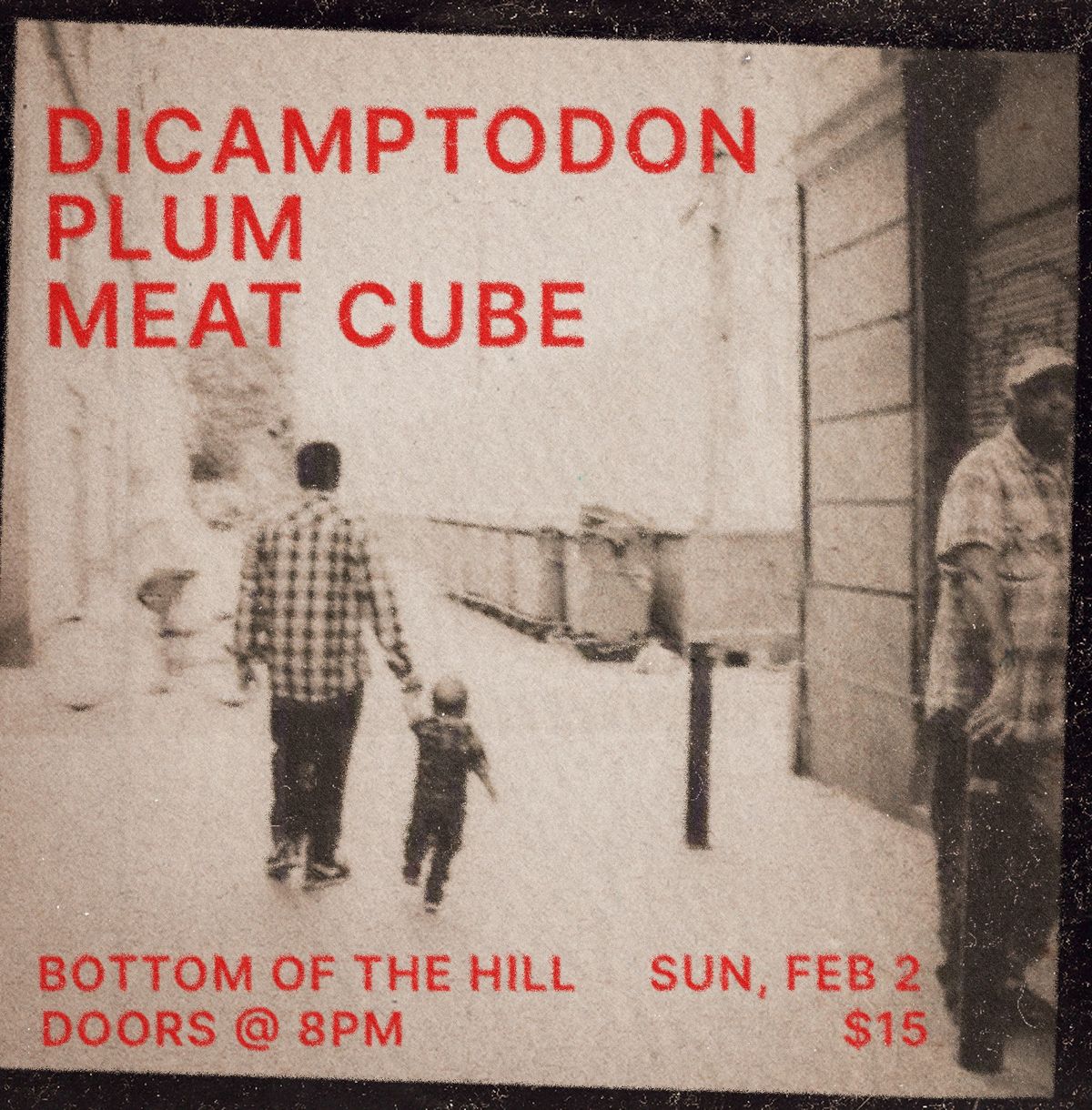 Dicamptodon ~ Plum ~  Meatcube