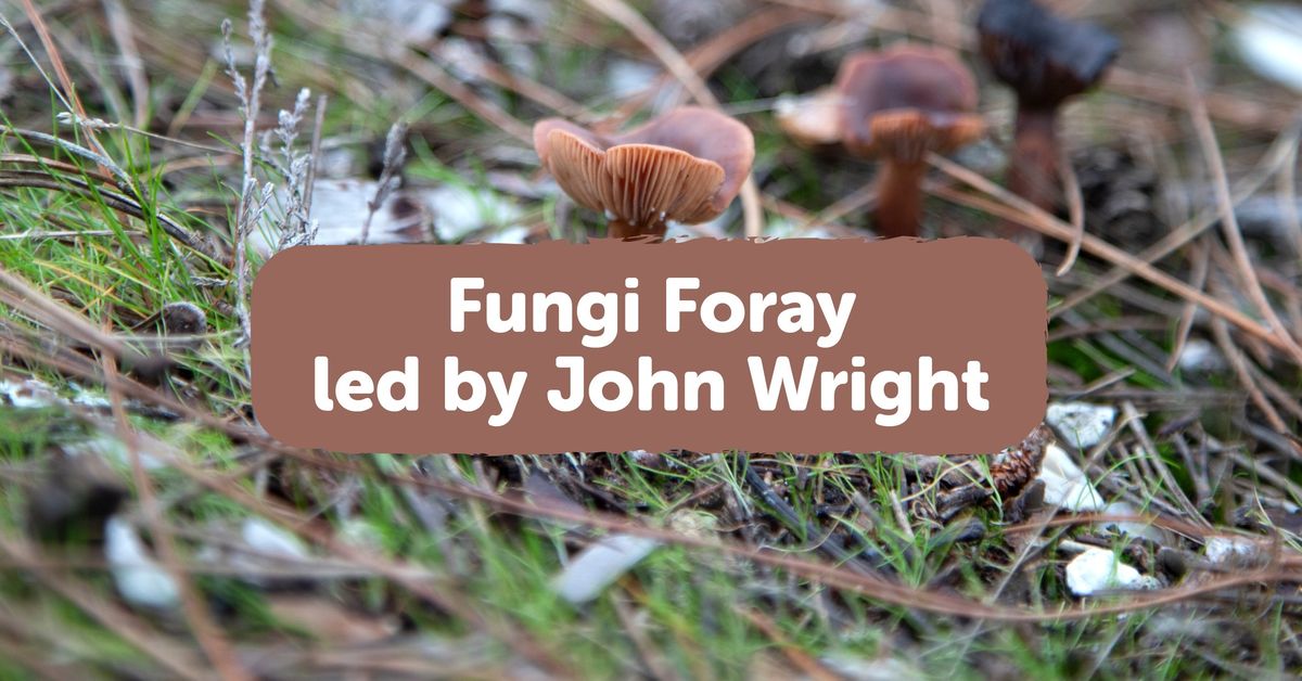 Fungi Foray with John Wright 