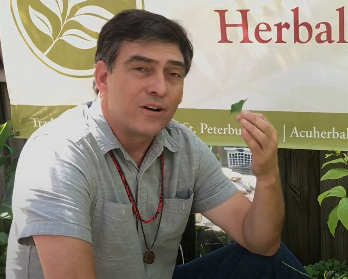 Medicinal Herb Walk with Bob Linde at 12noon and 2PM