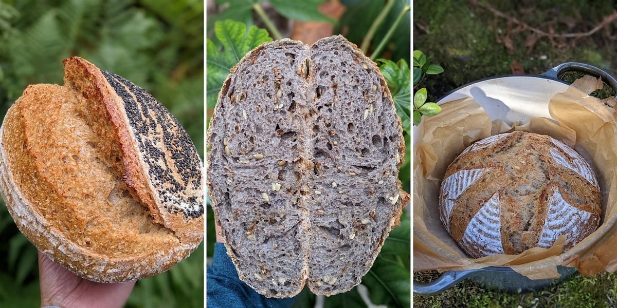 Sourdough Workshop