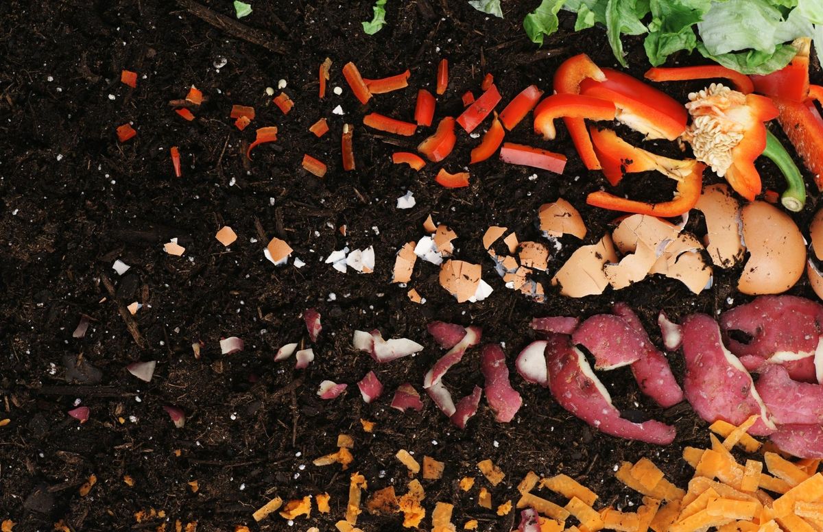 The Science Behind Composting