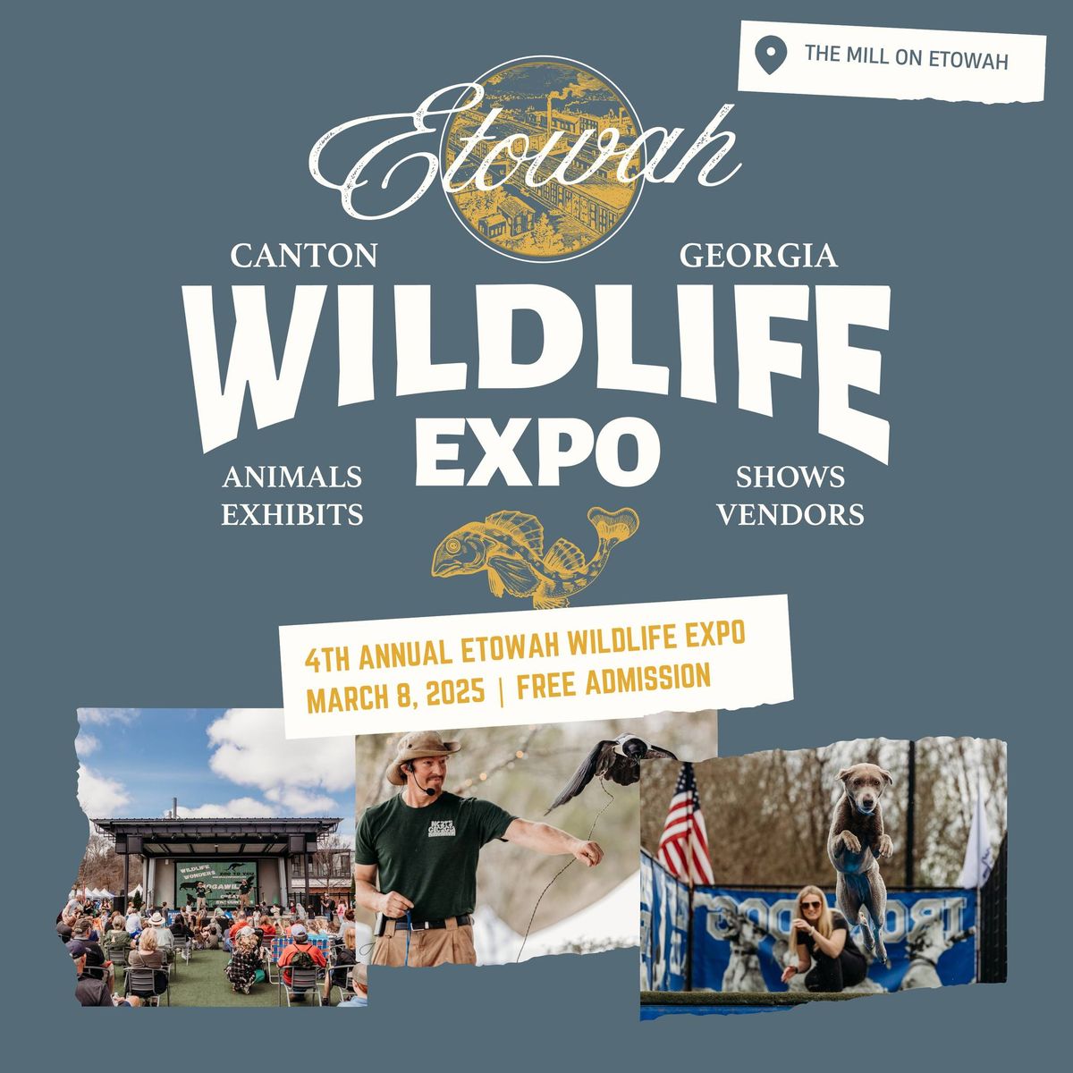 Wildlife Expo \ud83e\udd8c \ud83e\udd83 