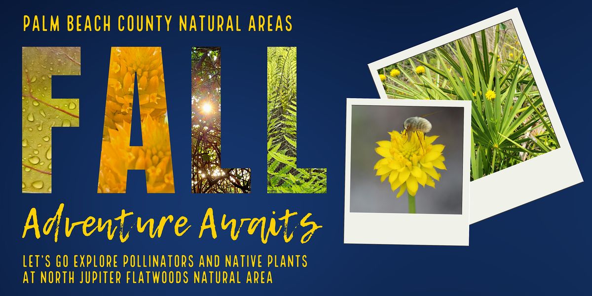 Adventure Awaits - Let\u2019s Go Explore Pollinators and Native Plants