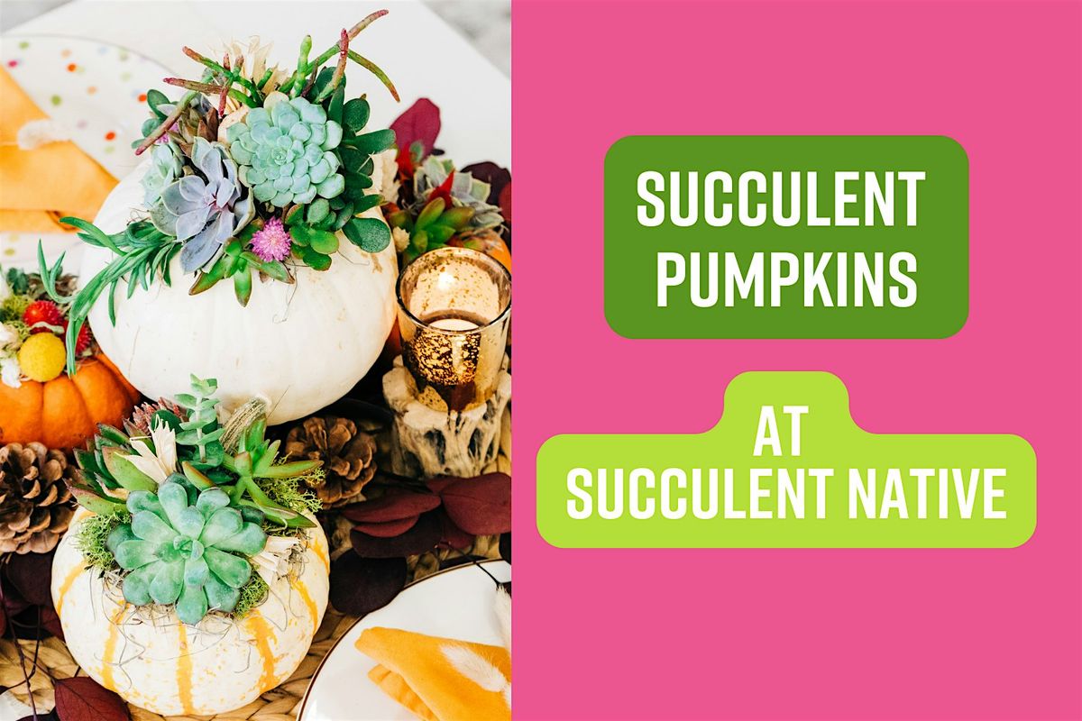 Succulent Pumpkins