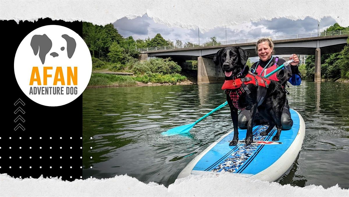 Introduction to Dog SUP