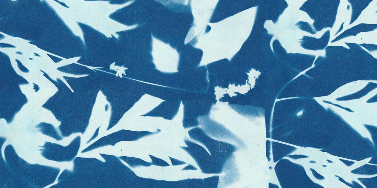 Cyanotype Workshop with An Ting Teng