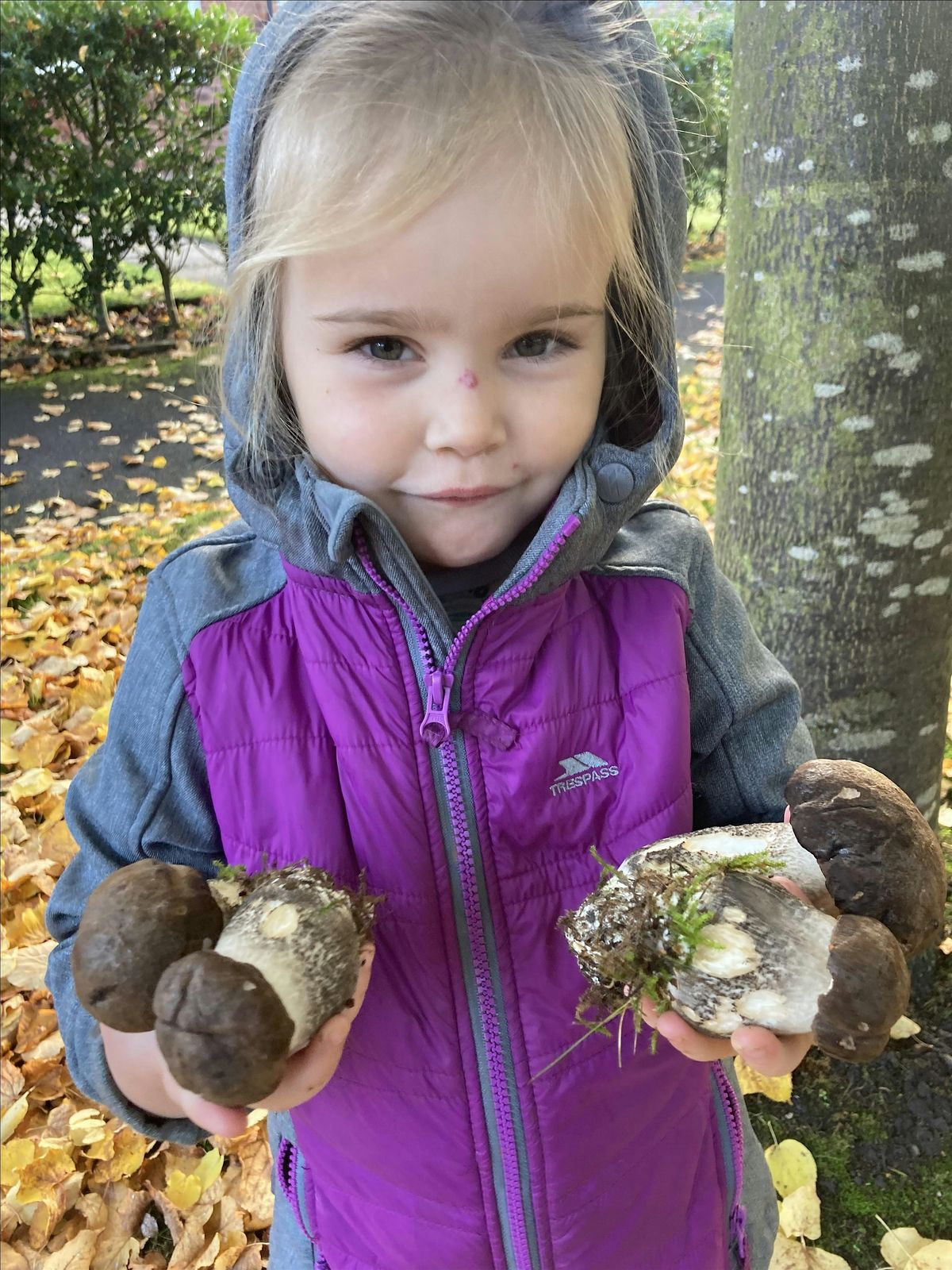 TASTER Foraging Workshop in Liverpool