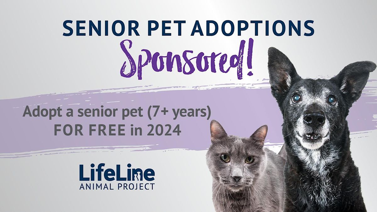 Adopt a Senior Pet for FREE in 2024