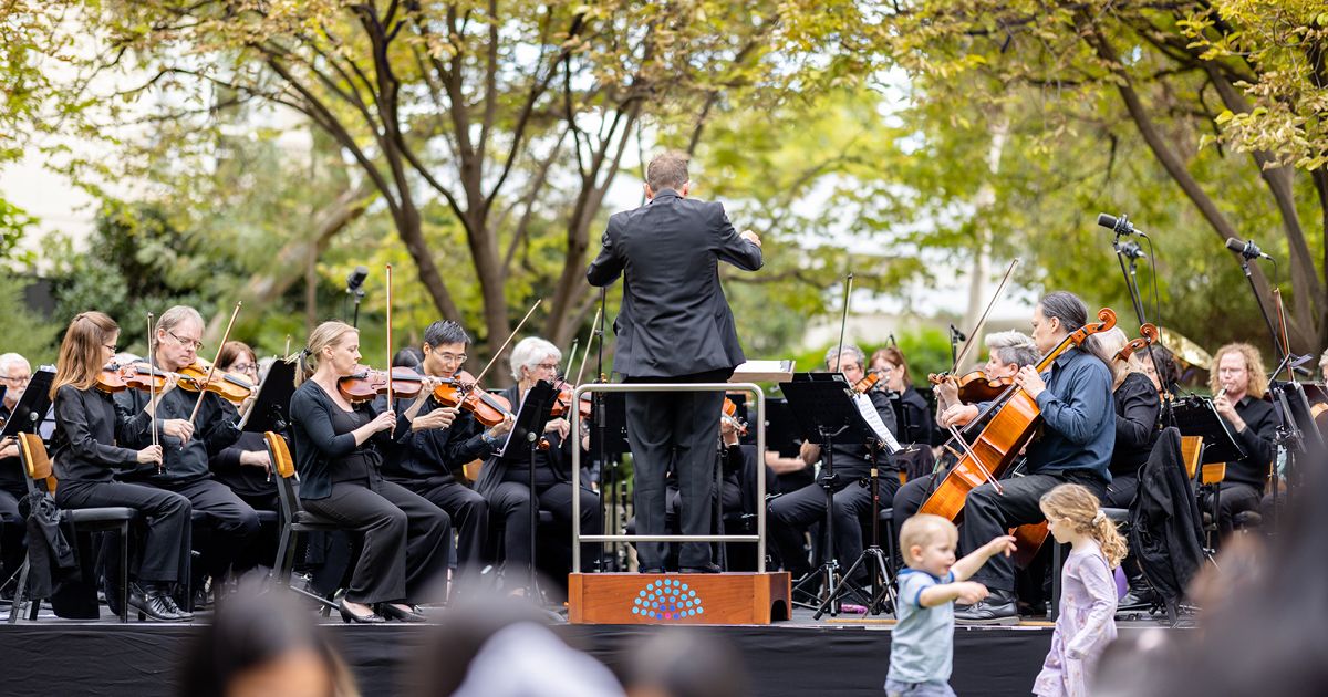 Symphony in the Park