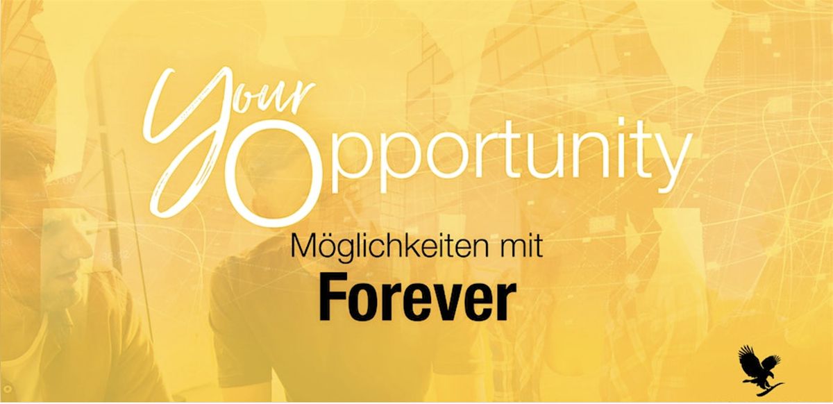 Your Opportunity  Hamburg Starter Workshop