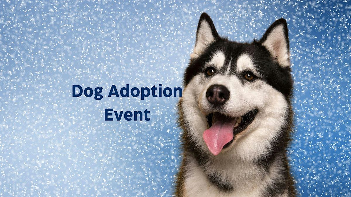 Dog Adoption Event and Fundraiser for Taysia Blue Husky & Malamute Rescue