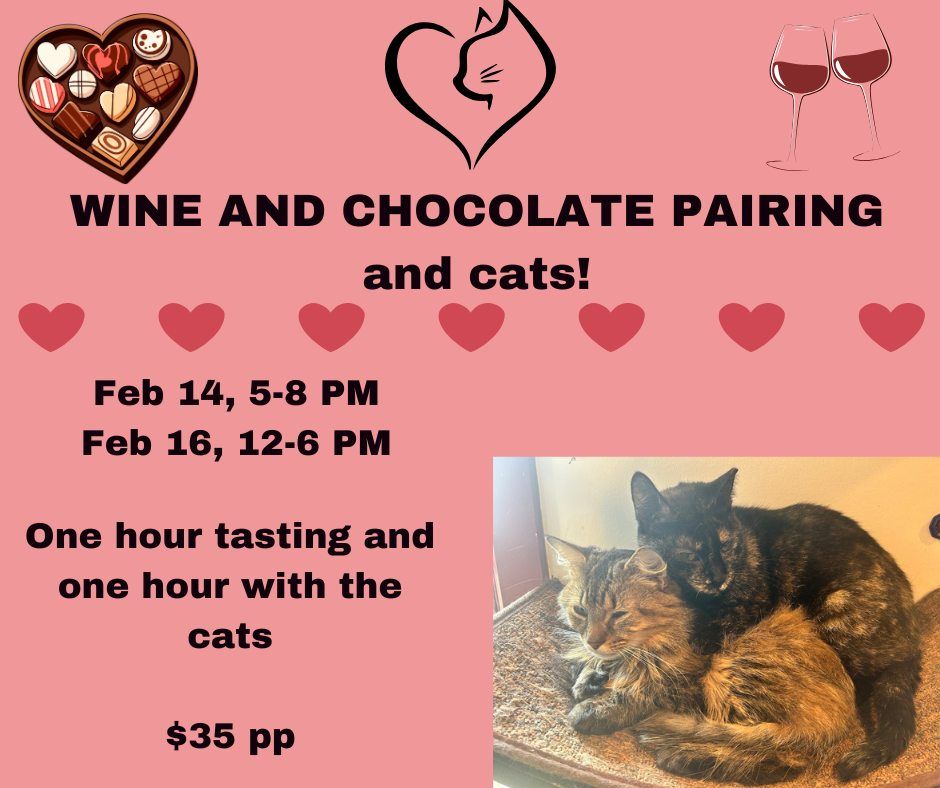 Wine and Chocolate Pairing (and cats)!