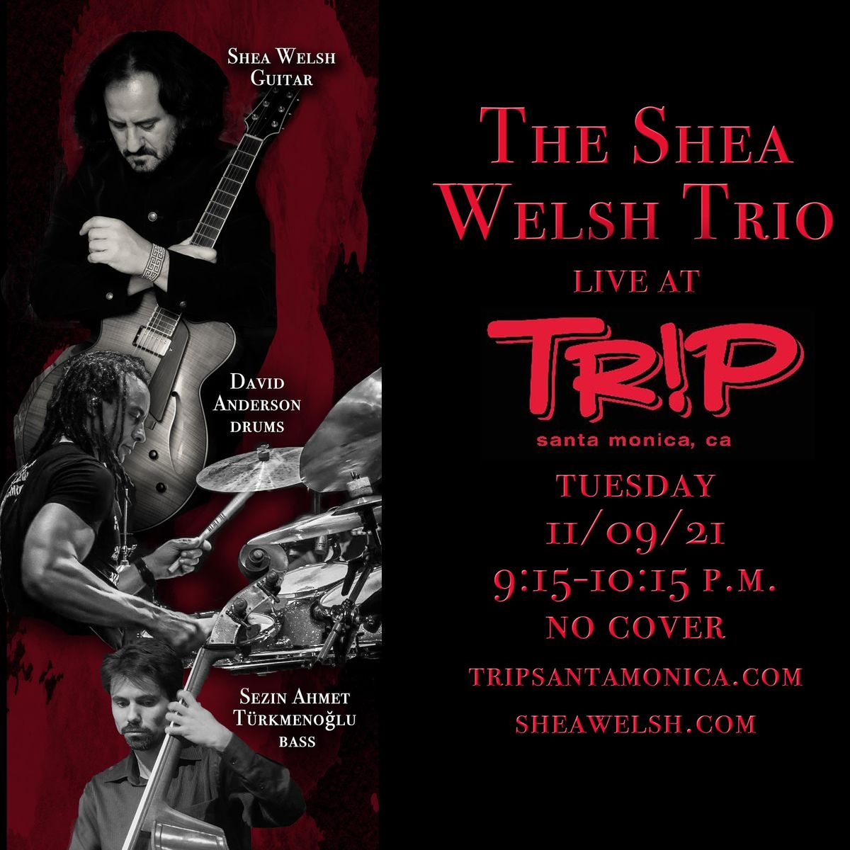 The Shea Welsh Jazz Trio Live @ Trip