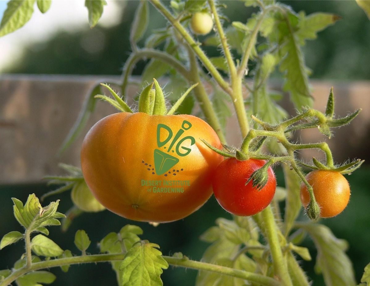 DIG ONLINE: Totally Tomatoes!