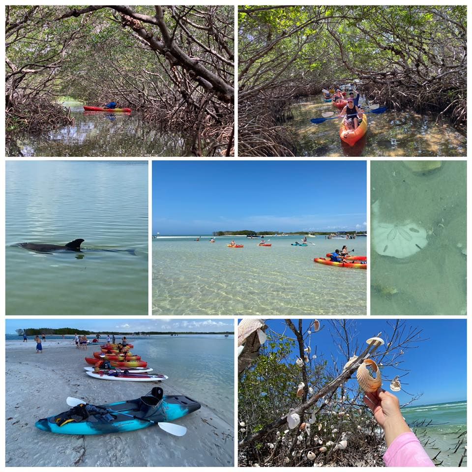 Shell Key Preserve Mangrove and Island Adventure(SOLD OUT)