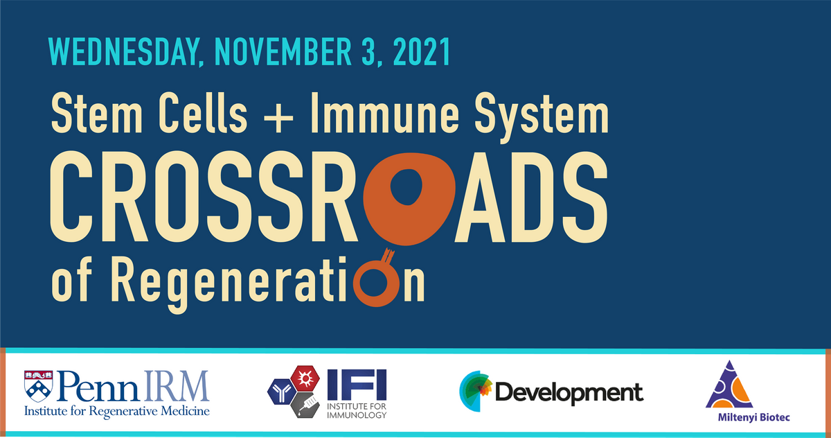 Stem Cells & the Immune System: At the Crossroads of Regeneration (Hybrid)