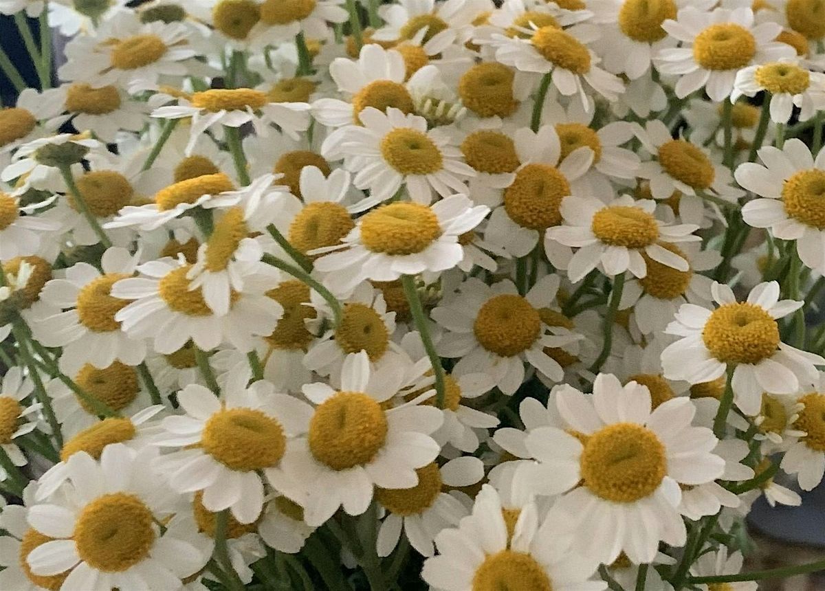 Bud Vase Floral Arranging