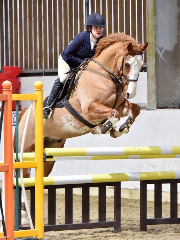 TVRC & HWRC Open Showjumping at BCA