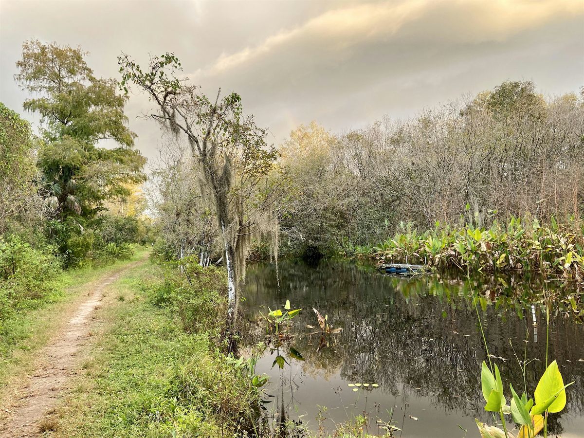 Morning Coffee, Roll & Stroll at the CREW Bird Rookery Swamp