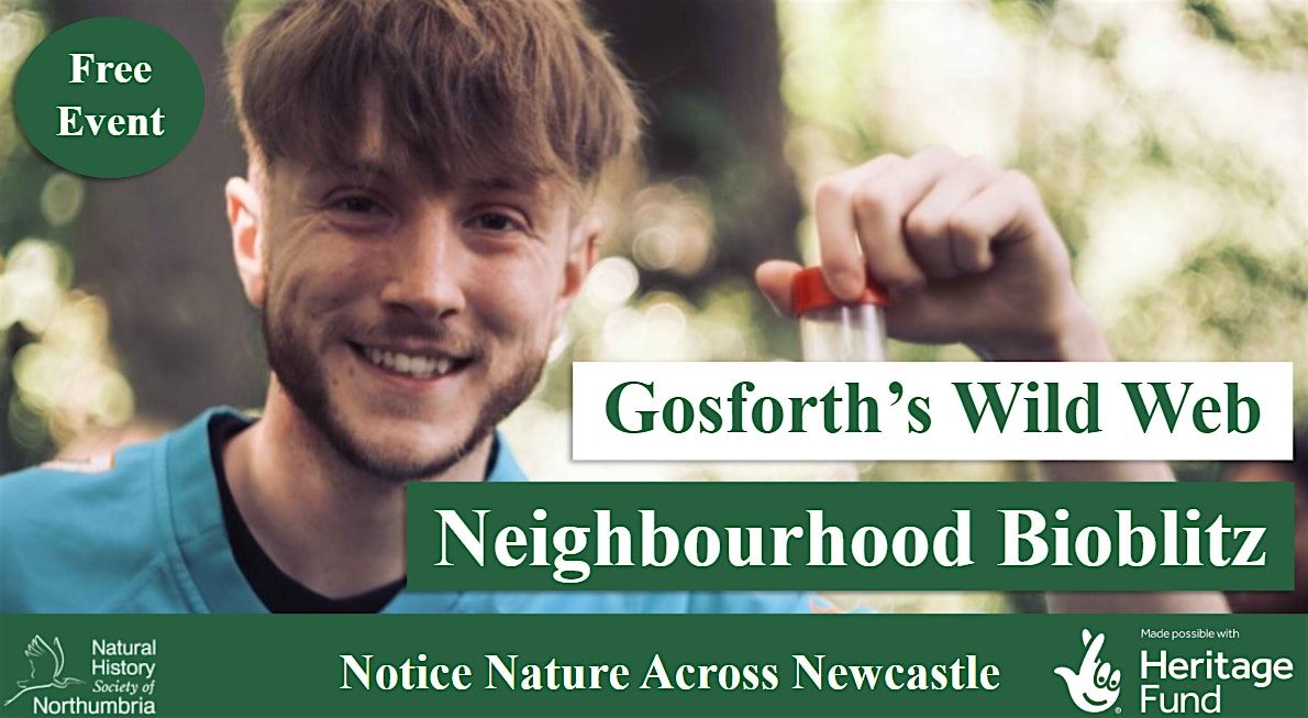 Neighbourhood Bioblitz