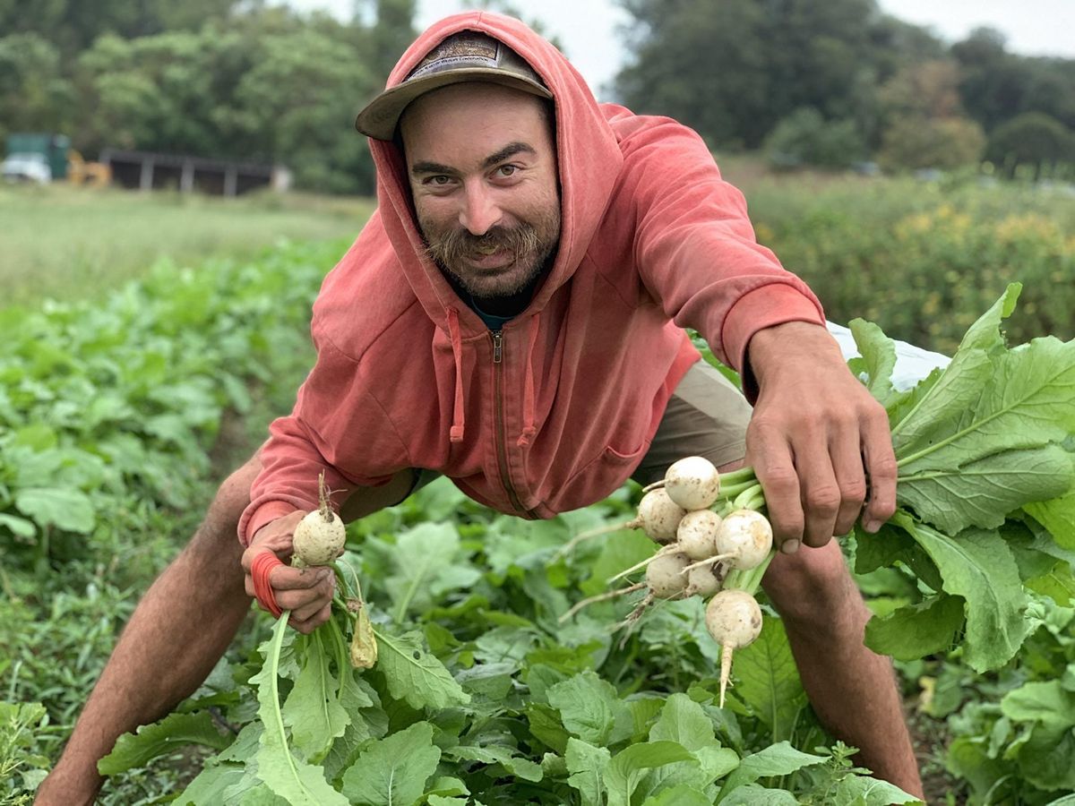 Farm Produce Safety harvesting, handling and storing produce safely