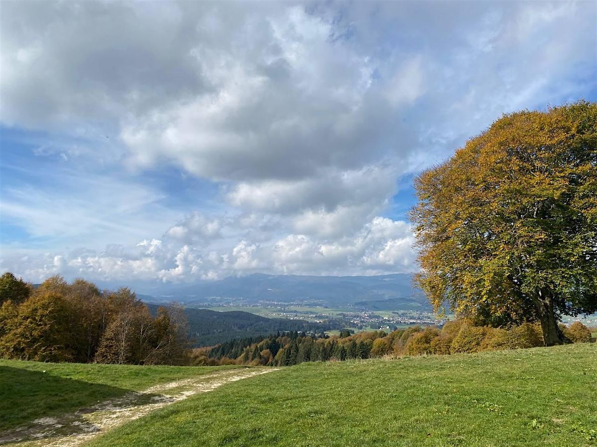 Altopiano d'Asiago: trekking alla Cima Ekar