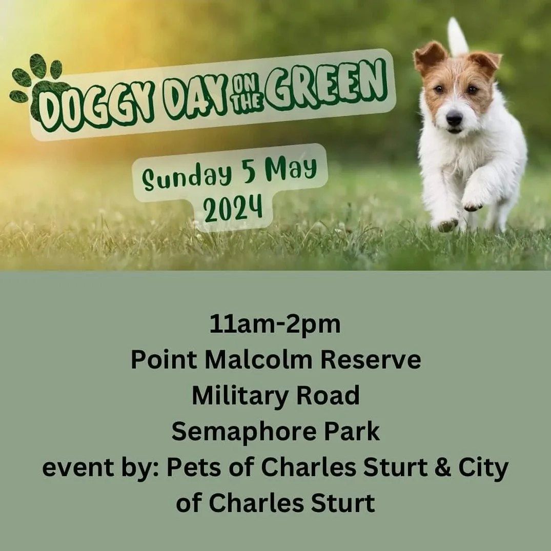 Doggy Day on the Green