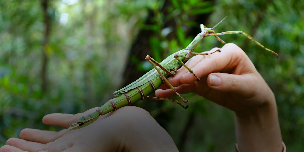 NaturallyGC Kids - Bugs Gone Wild