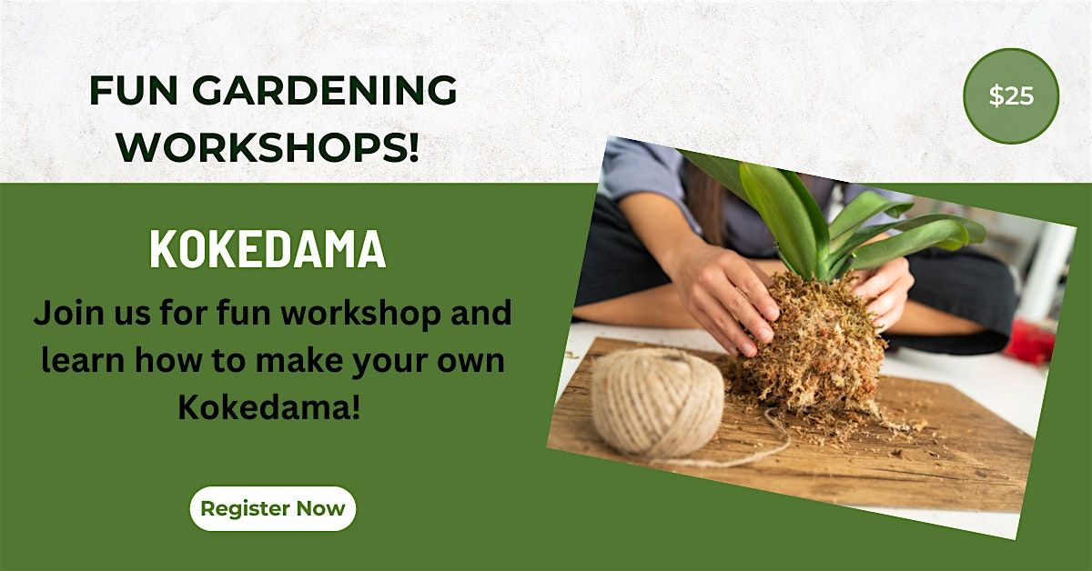 Make a Kokedama - Monday, Nov. 4th -  11:00 am