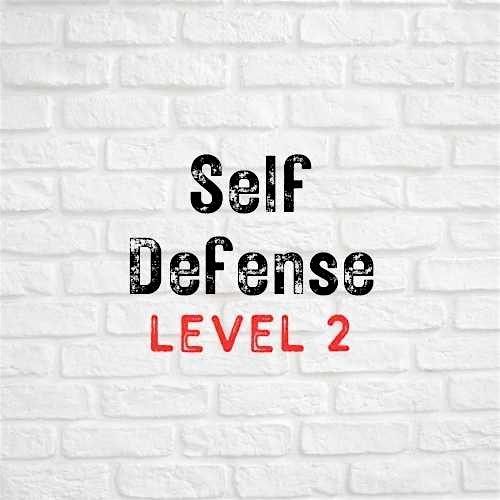 Self Defense Level 2