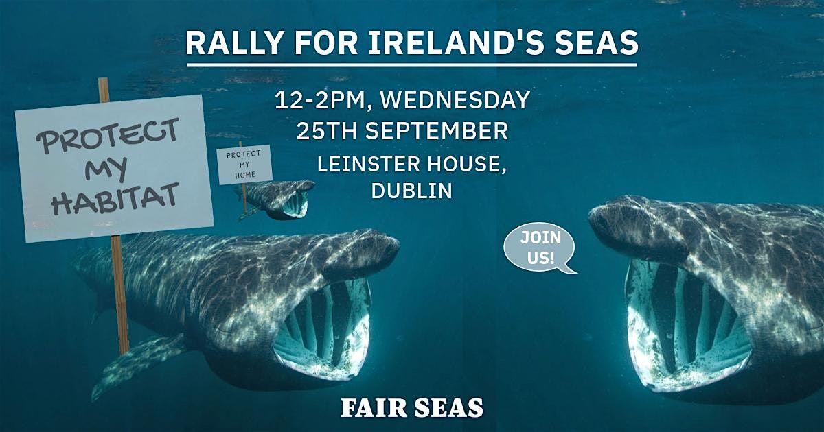 Rally 4 Ireland's Seas - Outside D\u00e1il \u00c9ireann 25 September 2024