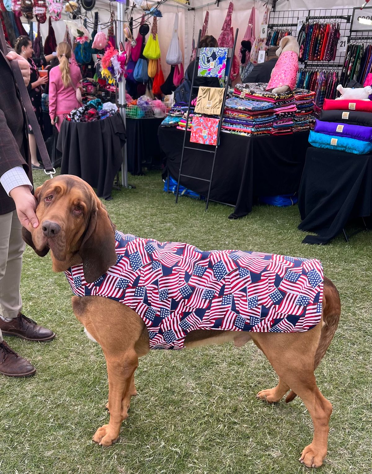 Palm Springs Dog Show 