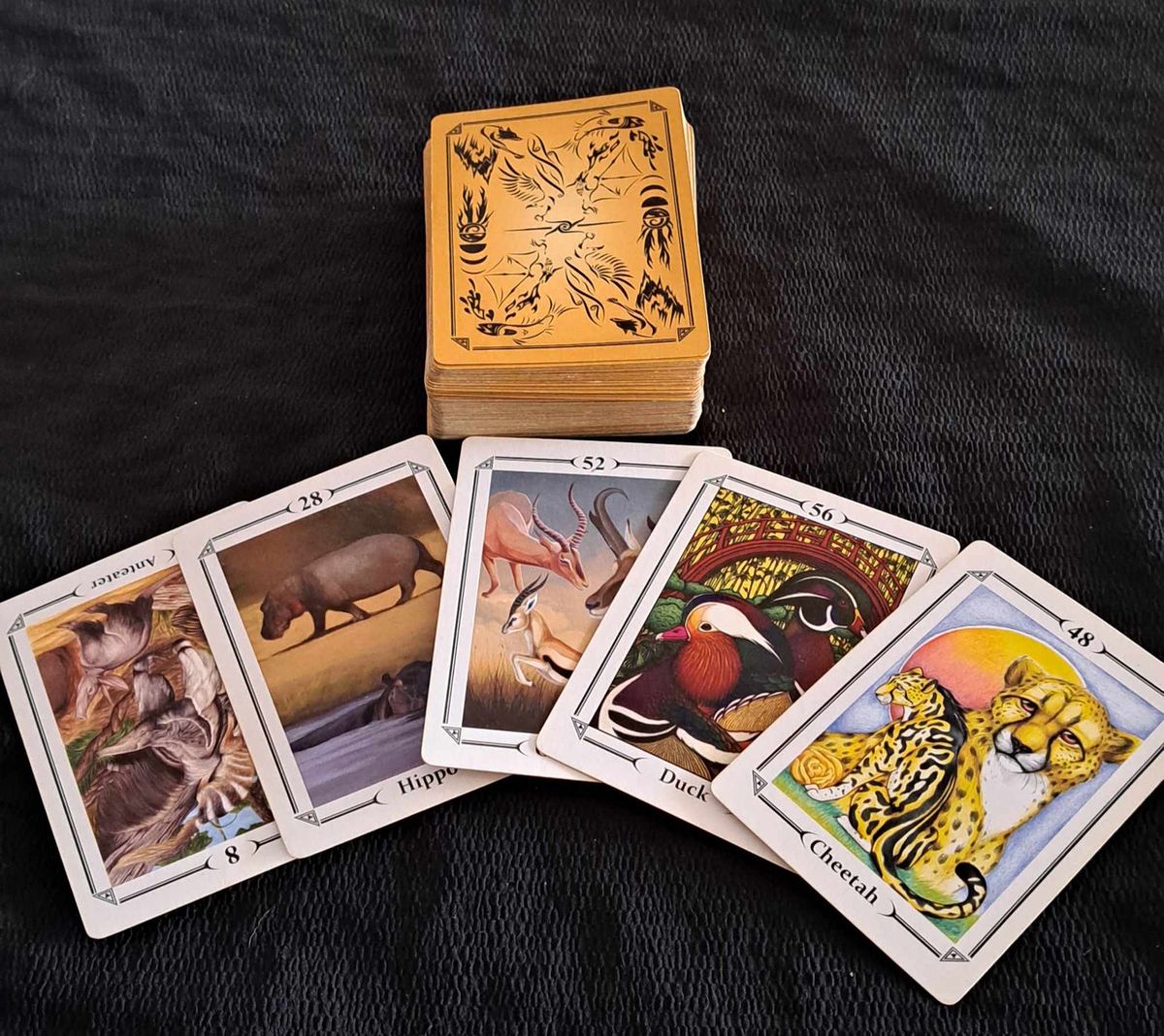 Spirit Guide Oracle Readings & Guided Meditations