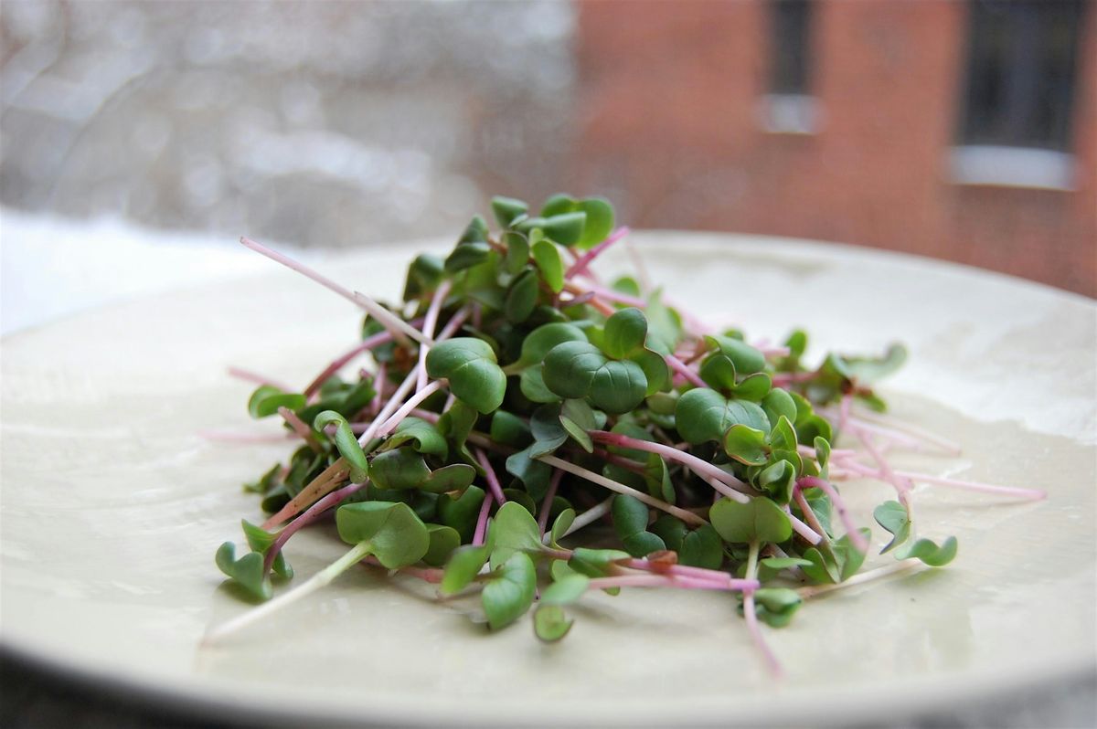 Microgreens