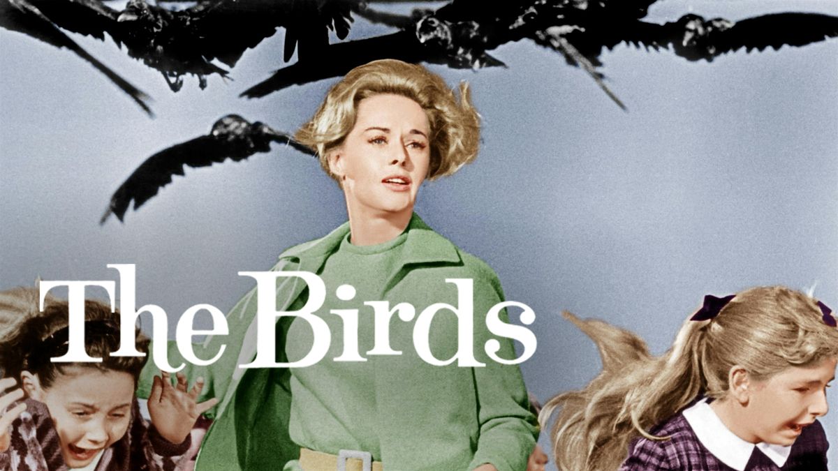 Film Works Alfresco: The Birds