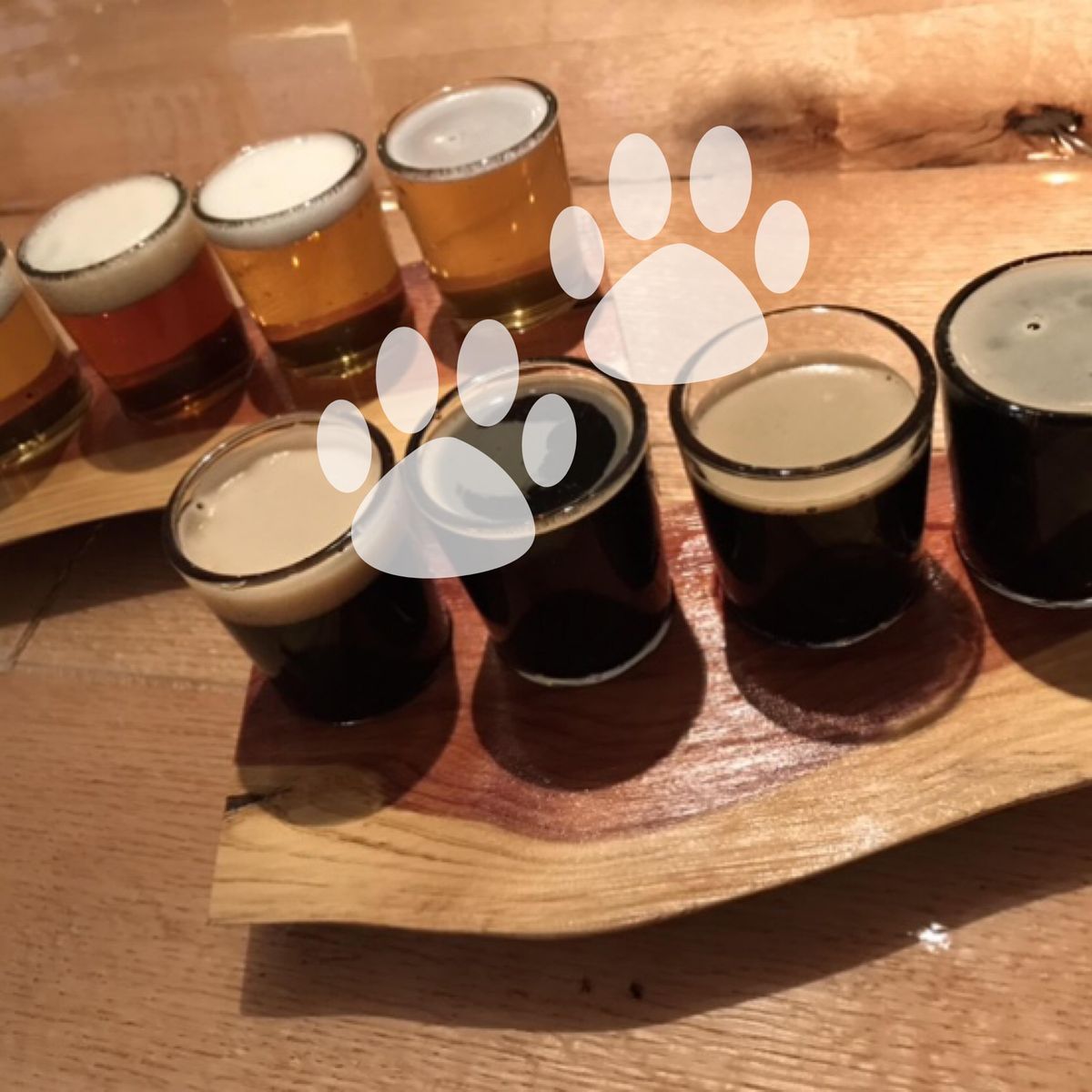 SIPPIN SESSION training clinic for folks who like drinking with DOGS