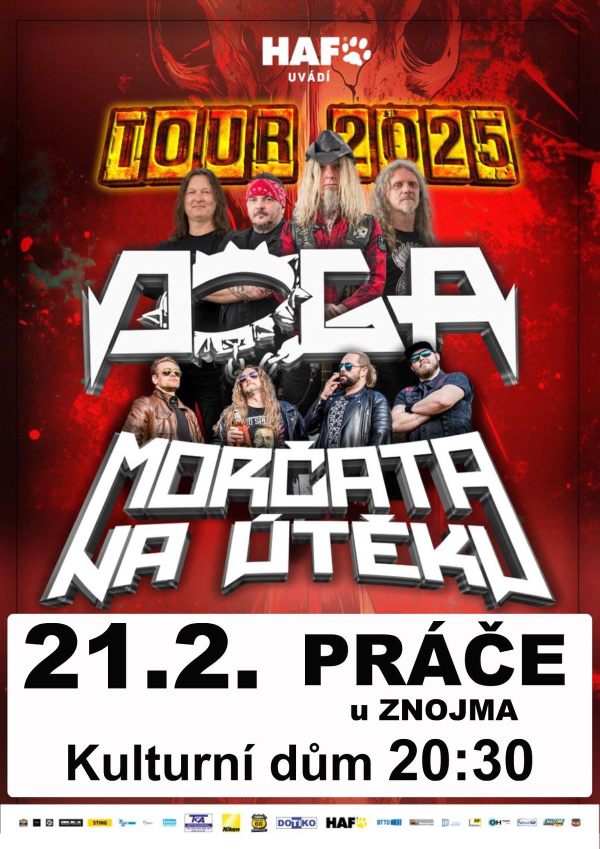 DOGA + MOR\u010cATA NA \u00daT\u011aKU - Pr\u00e1\u010de u Znojma - 21.2.2025