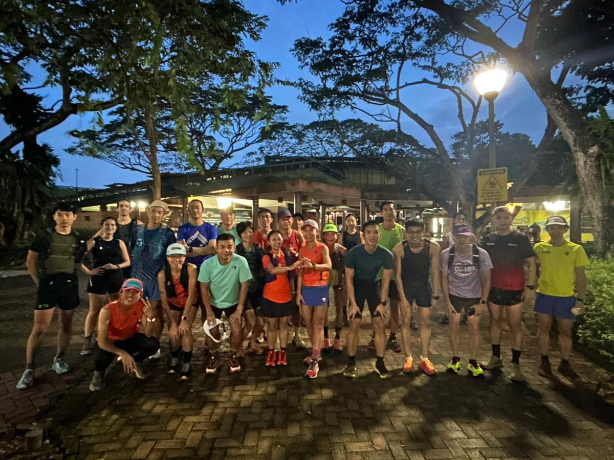 Trail LSD Run: MacRitchie - Upper Peirce - Windsor NP