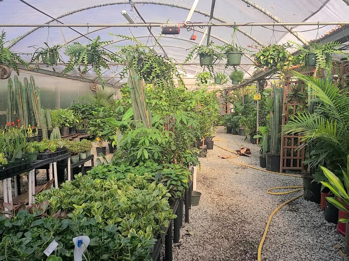 Greenhouse Growing Tour