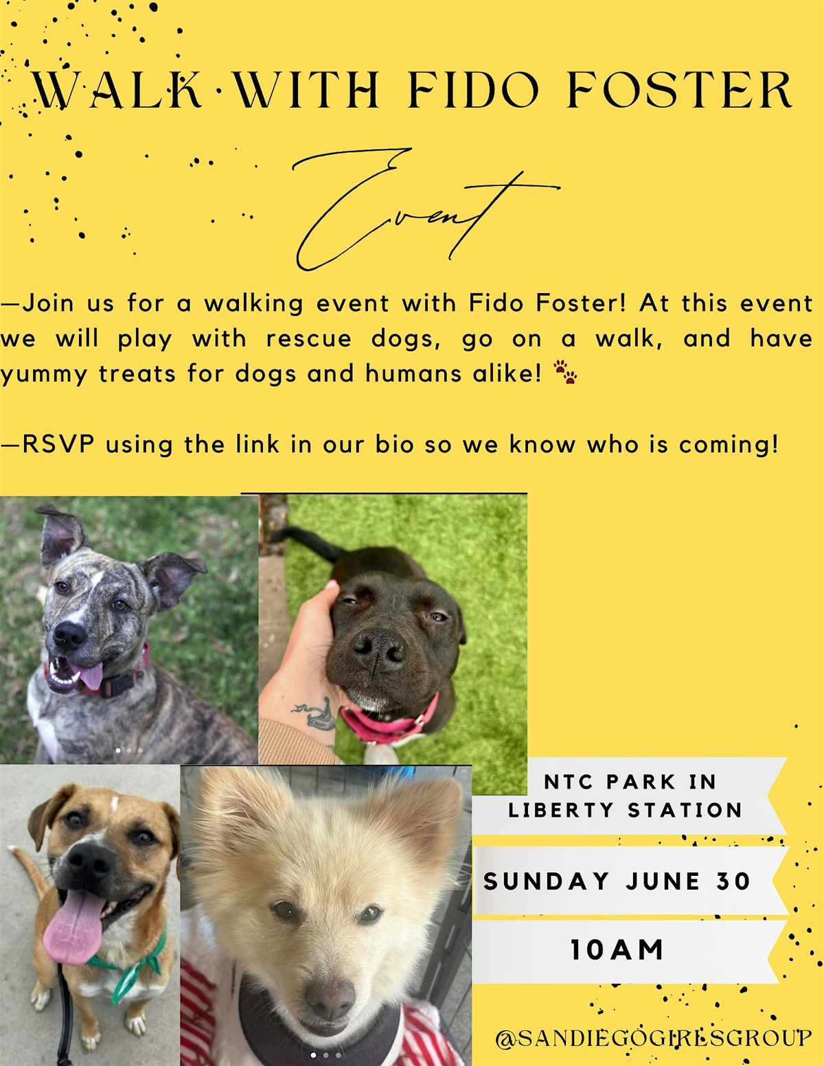 Walk With Fido Foster
