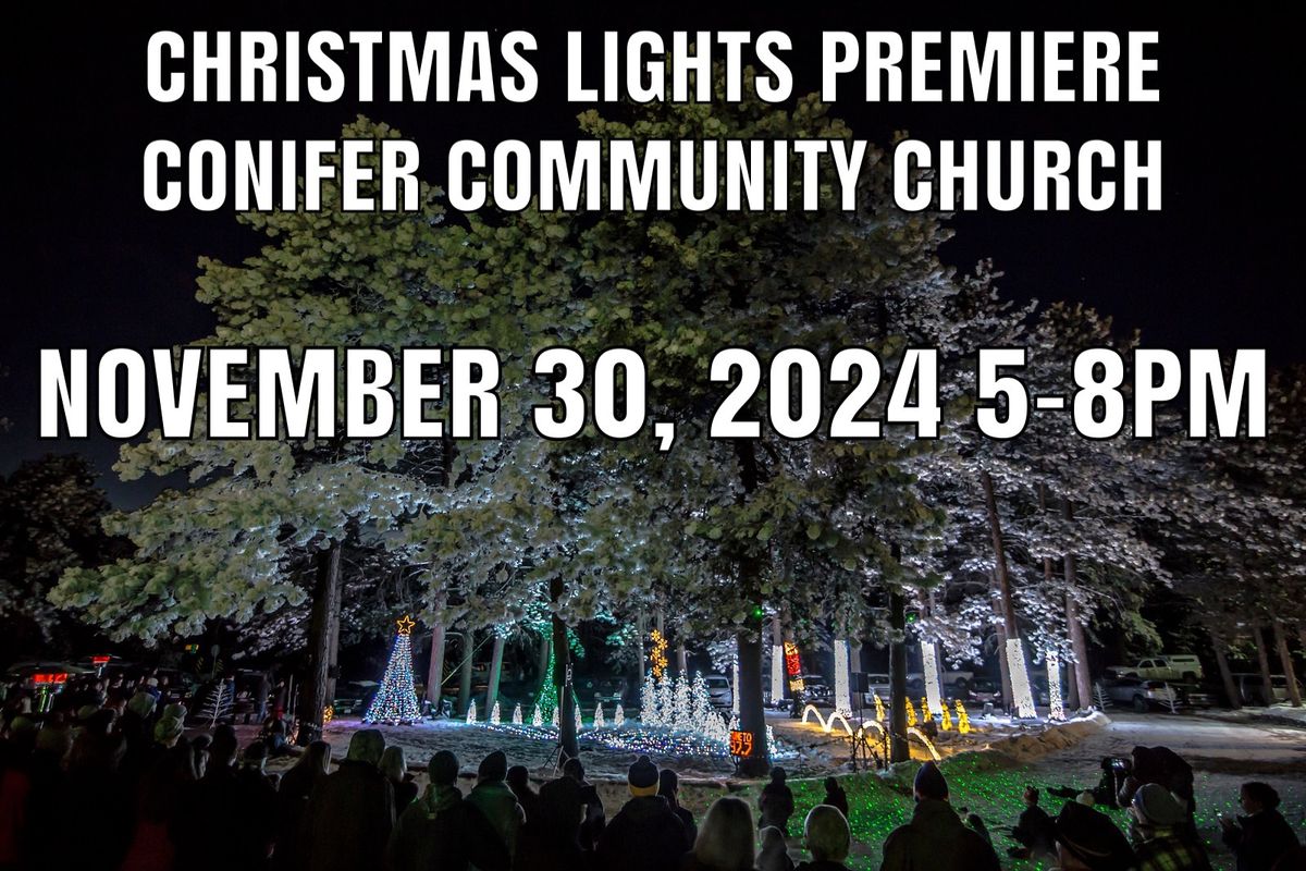 Annual Christmas Lights Premiere