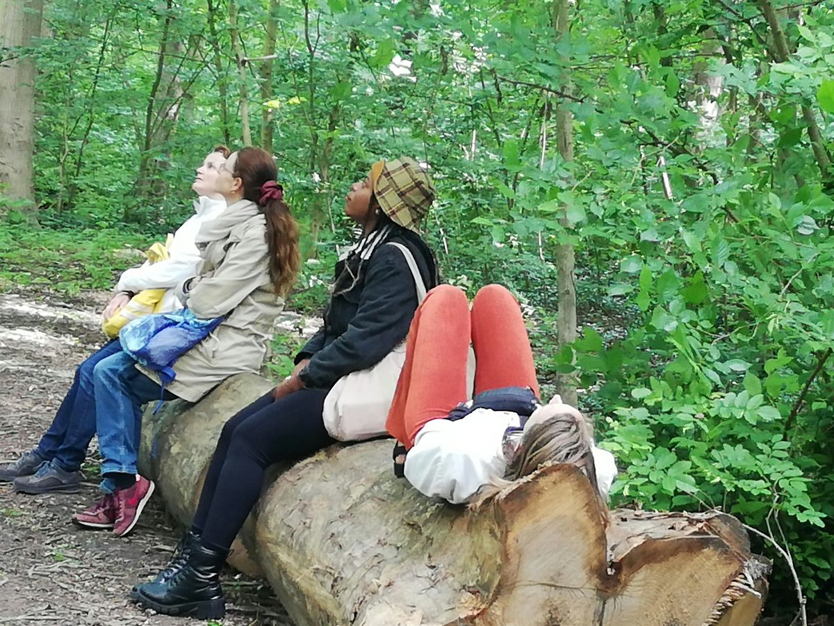 Forest Bathing Walk \/ Ba\u00f1o de bosque \/ Shinrin Yoku \/ Amstelpark-Amsterdam