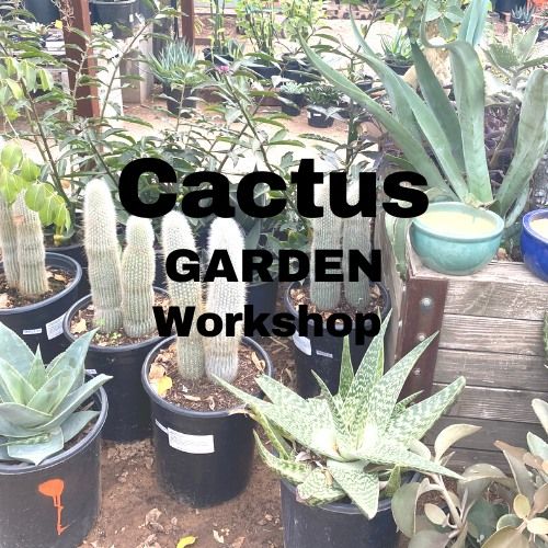 Cactus Garden Workshop