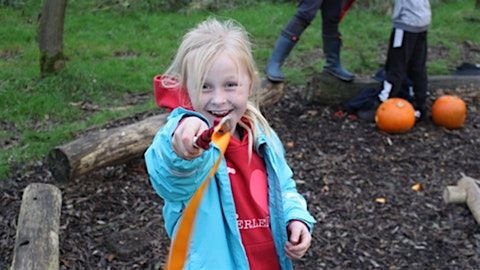 Wild Magic at Mere Sands Wood (10am-12pm) - 23rd October 2024